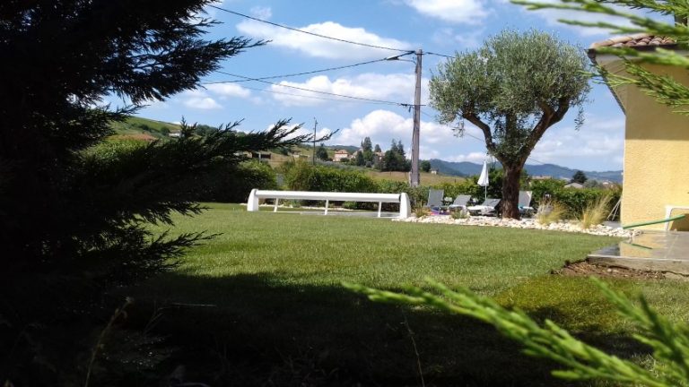 belle pelouse